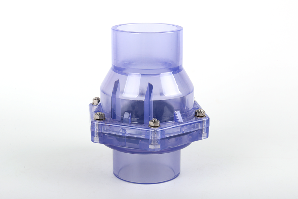 河北透明翻板式止回阀